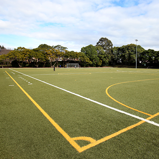  Arlington Recreation Reserve soccer pitch